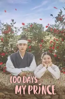 100 Days My Prince (2018) Season 1 Dual Audio [Hindi ORG. + Korean] Complete K-Drama WEB Series 720p | 1080p WEB-DL