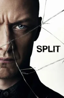 Split (2016) BluRay Dual Audio [Hindi ORG. + English] Full Movie 480p | 720p | 1080p | 2160p 4K